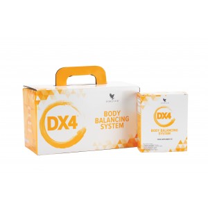 DX4 geros savijautos programa